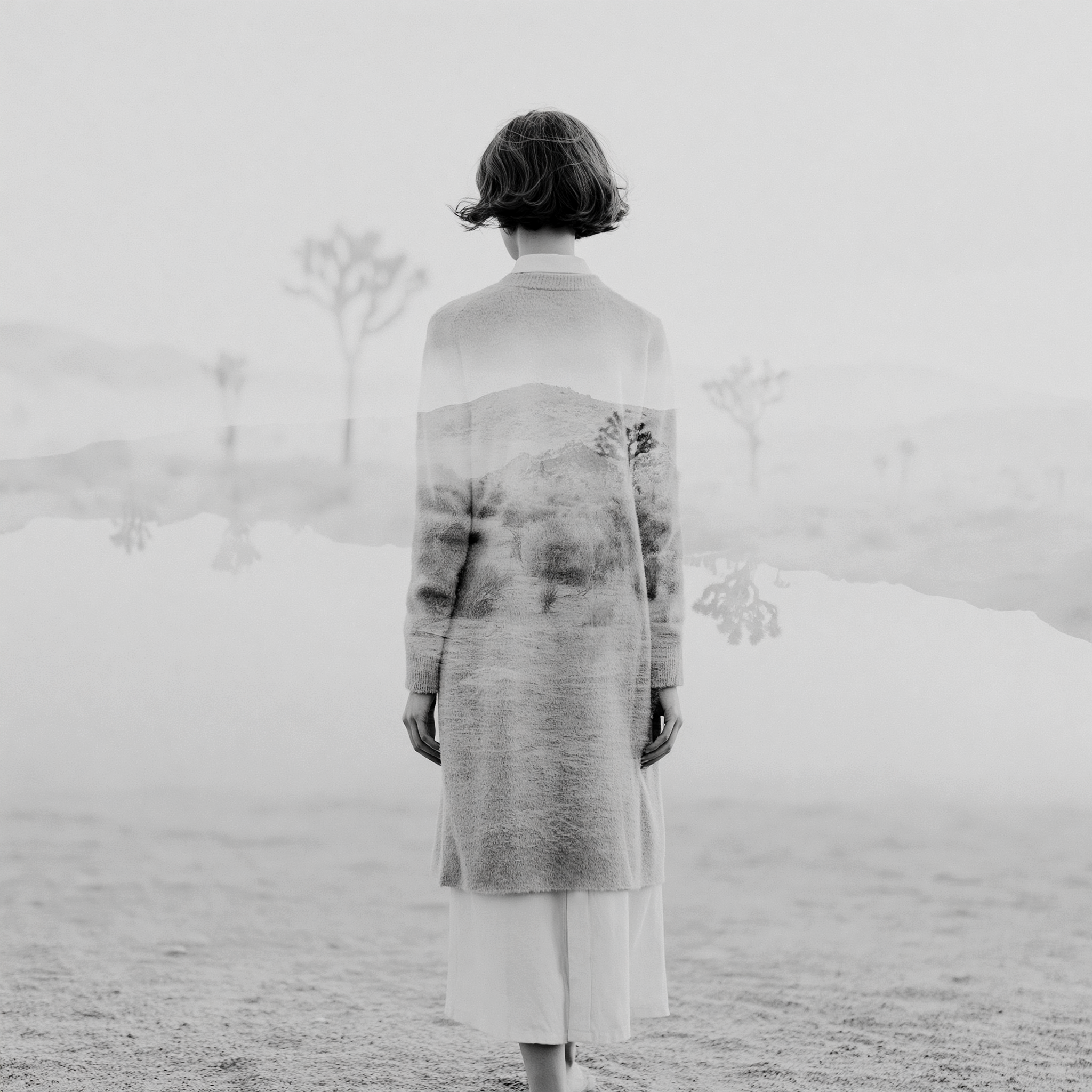 Joshua Tree 3, double-exposure print of a woman layered with the Joshua Tree landscape